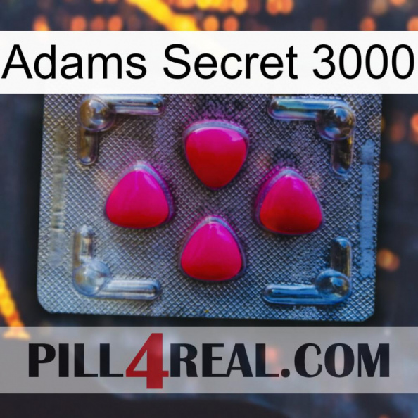 Adams Secret 3000 13.jpg